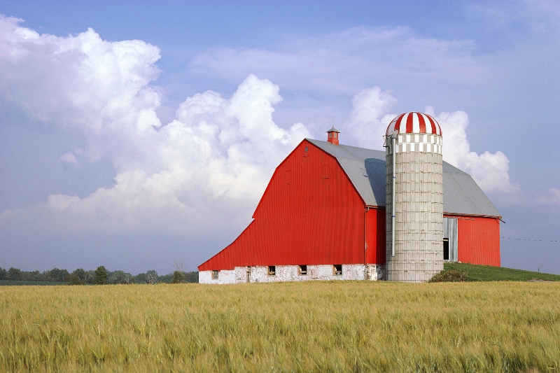 Barn and field