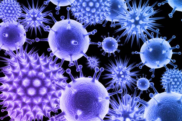 Close up of viruses