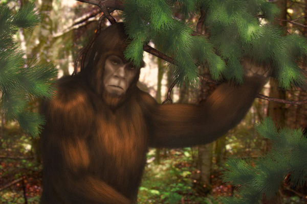 Sasquatch