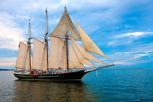 Sailboat near the harbor
