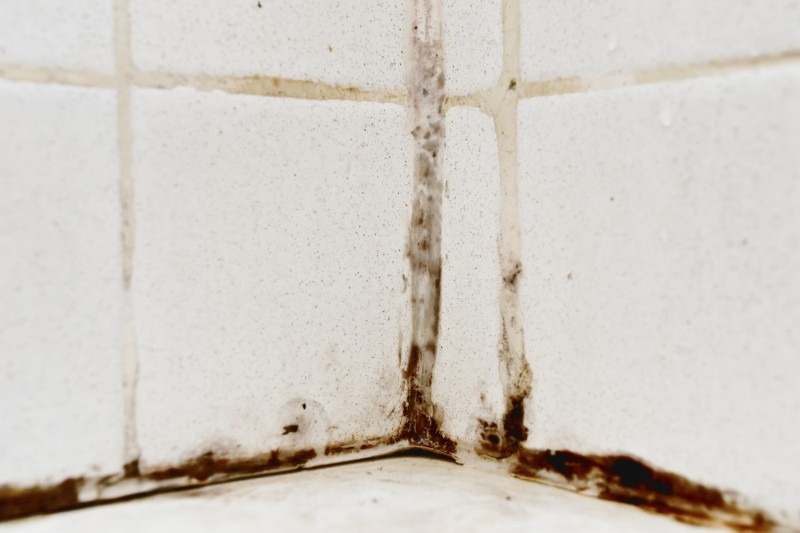 Moldy bathroom tile