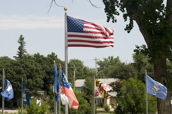 US flag with state flags