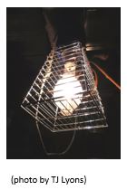 Metal Halide Light