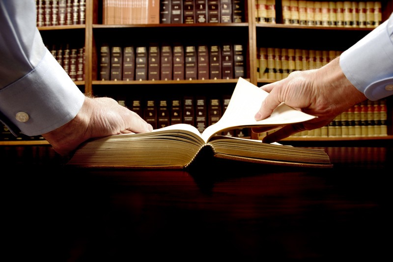 Hands holding statute book
