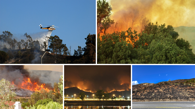 California wildfire collage