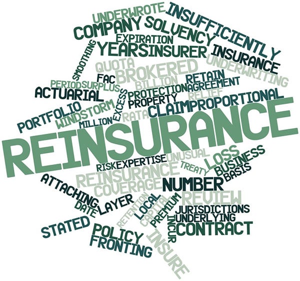 Reinsurance words