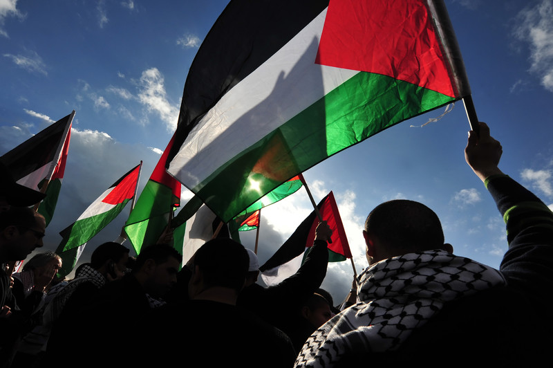 Palestinian activists protesting