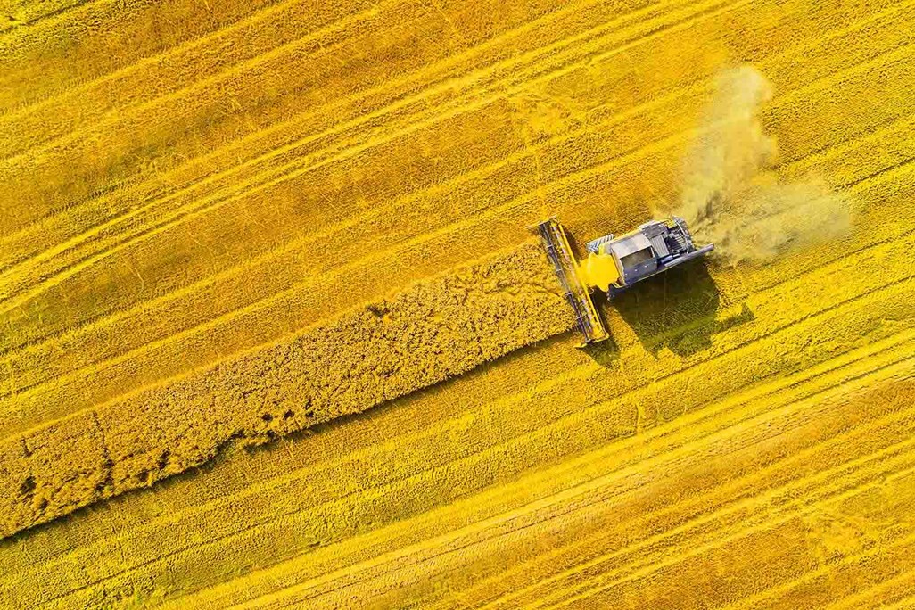 Agriculture Education - Dig In Inc