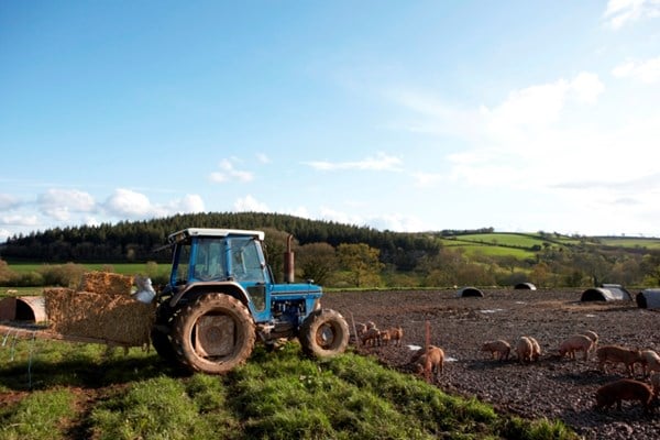 tractor on a farm