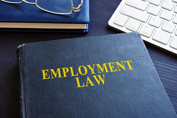 employment law book