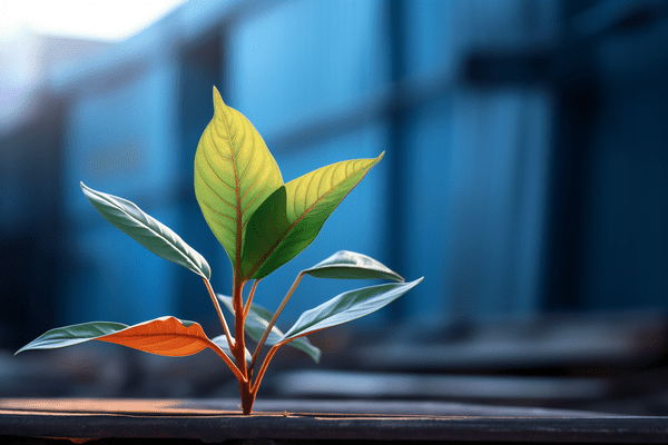 A green plant grows in front of a blue industrial  background