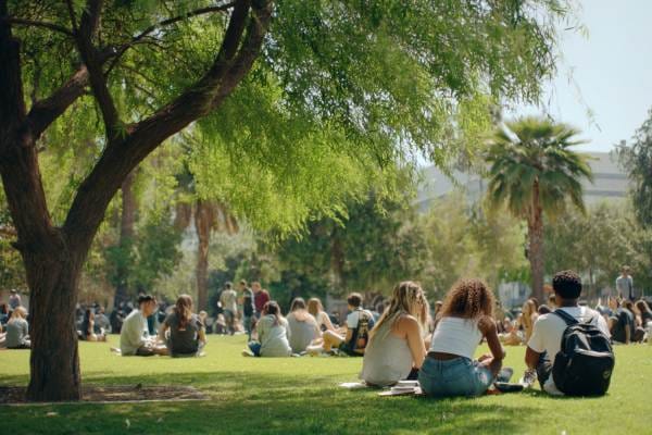 college students sitting in groups on a college campus green space